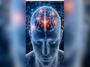 Best Foods To Boost Your Brain Health