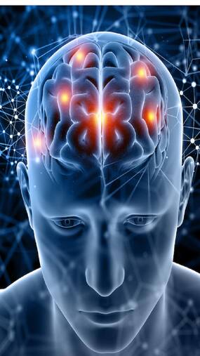 Best Foods To Boost Your Brain Health