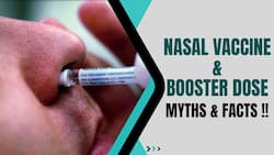 Nasal Vaccine V/s Booster Dose: Can Booster Jabs & Nasal Vaccines Be Clubbed Together? Watch Video