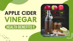 Apple Cider Vinegar Benefits: Apart From Weight Loss, Know Other Magical Health Benefits Of ACV !! Watch Video