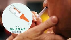 Top Health Headlines: Centre Launches India's First Nasal COVID-19 Vaccine iNCOVACC