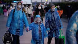 Three Years Into Pandemic, Does COVID Still Represents Global Emergency? WHO To Decide