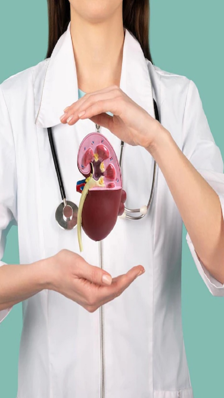 Causes of kidney stones