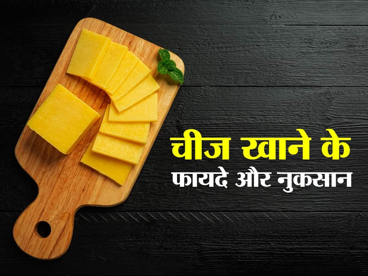 what is cheese made of in hindi