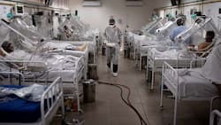 COVID-19 Deaths In China: 13,000 People Died In One Week Due To Respiratory Failure After Catching COVID