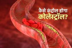 कोलेस्ट्रॉल कम करने के लिए सुबह खाली पेट इस 1 चीज से करें दिन की शुरुआत, जानिए Cholesterol के लिए पूरे दिन का डाइट प्लान
