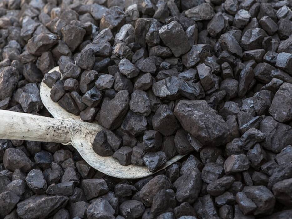 Black Lung Disease: All You Want To Know About This Job-Related Illness