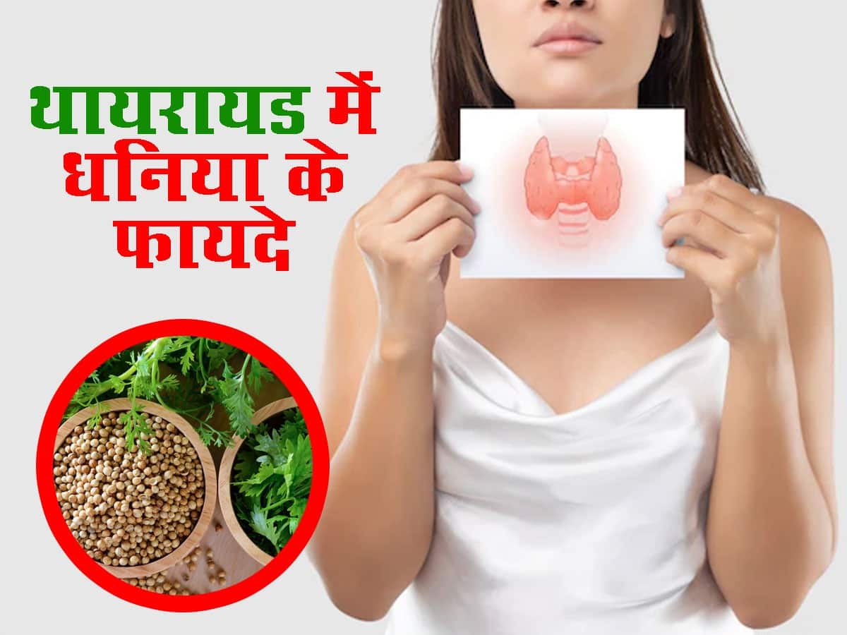 Benefits Of Coriander In Thyroid In Hindi थायरायड में धनिया खाने के