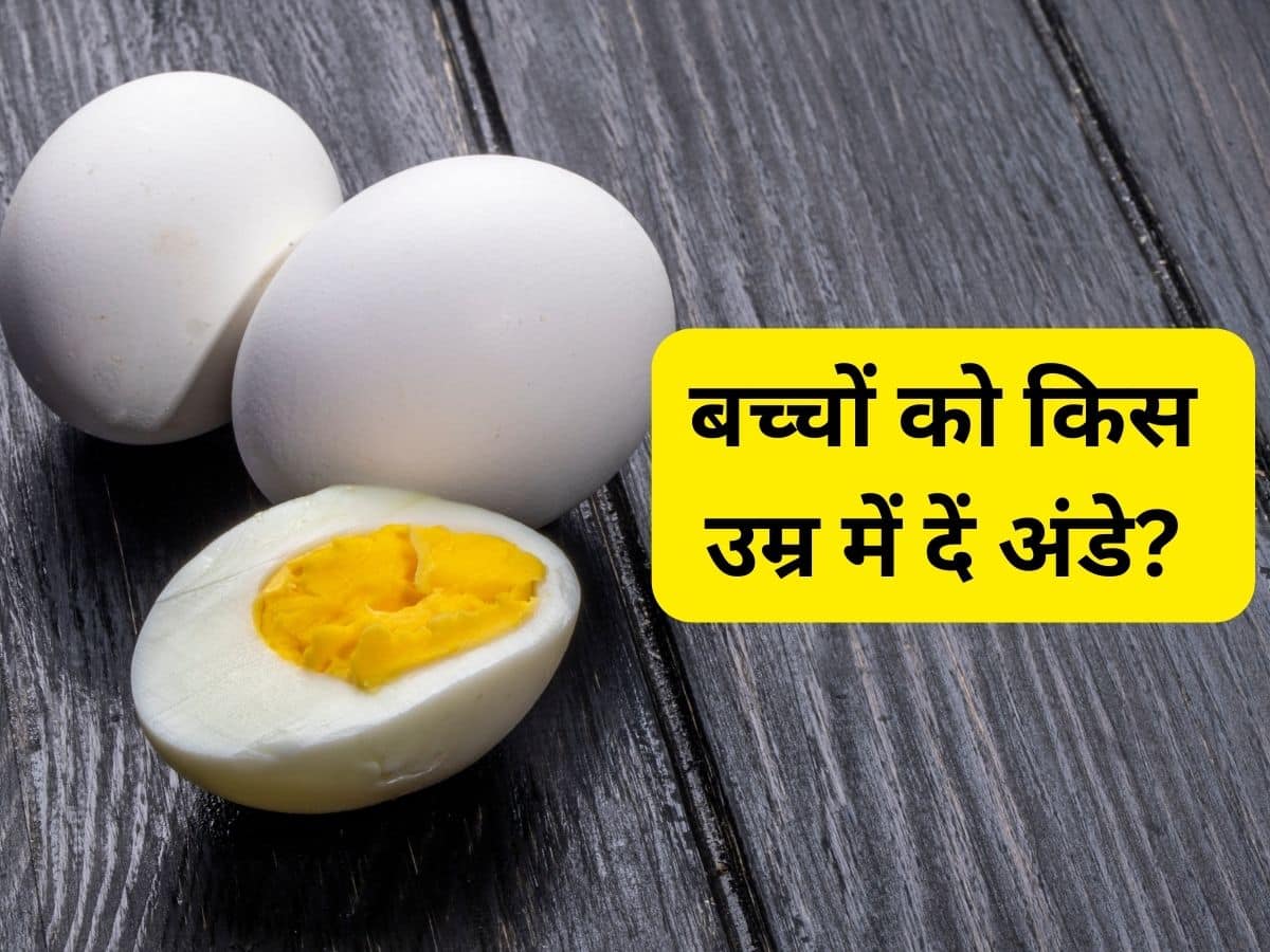 Egg For Kids In Hindi | बच्चों को कब और कैसे अंडे खिलाने चाहिए, जानिए