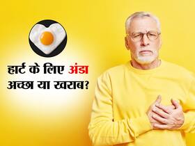 क्या हार्ट पेशेंट्स को खाना चाहिए अंडा? जानें क्या कहती हैं स्टडीज और एक्सपर्ट्स क्या हार्ट पेशेंट्स को खाना चाहिए अंडा? जानें क्या कहती हैं स्टडीज और एक्सपर्ट्स