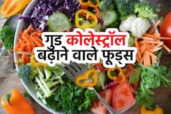एचडील (HDL) या गुड कोलेस्ट्रॉल बढ़ाते हैं 50 रूपए से कम कीमत वाले ये फूड्स, पढ़ें पूरी लिस्ट