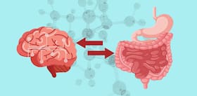 Can Gut Issues Cause Neurological Symptoms In Pets? Doctor Explains Gut-Brain Connection
