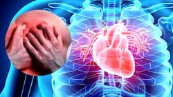 Heart Failure To Heart Attacks: Different Causes of Rapid Heart Beating And Its Risks