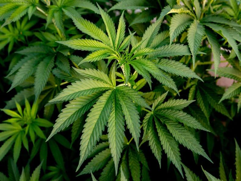 thehealthsite.com top news