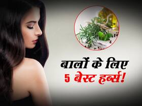 बालों की ग्रोथ के लिए इस्तेमाल करें ये 5 हर्ब्स, खूबसूरत और घने होंगे बाल