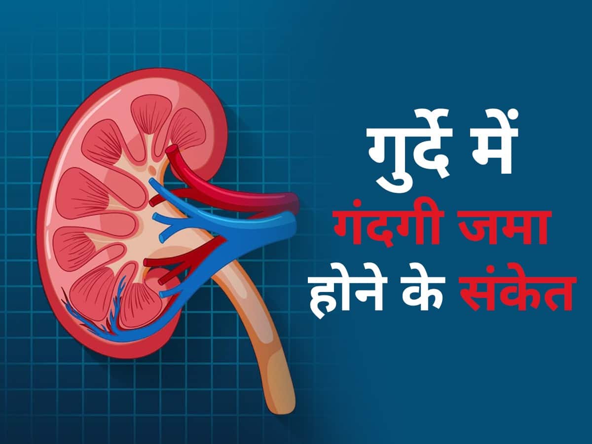 Kidney Detox in Hindi किडनी में गंदगी जमा होने के संकेत क्या है और
