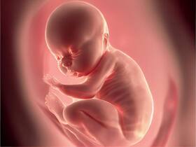 Bombay HC Allows Woman To Terminate Her 33-Week Pregnancy:    It Is A Woman   s Right To Access Safe Abortion Services
