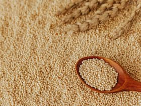 International Year of millets 2023: Why You Should Eat Millets