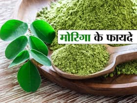मोरिंगा के पत्ते खाने से दूर होती हैं ये 8 हेल्थ प्रॉब्लम्स, जानें सहजन के पत्तों के सेवन के सही तरीके