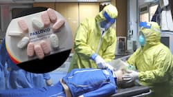 Can Paxlovid Treat COVID-19 Infection? WHO Releases New Guidelines