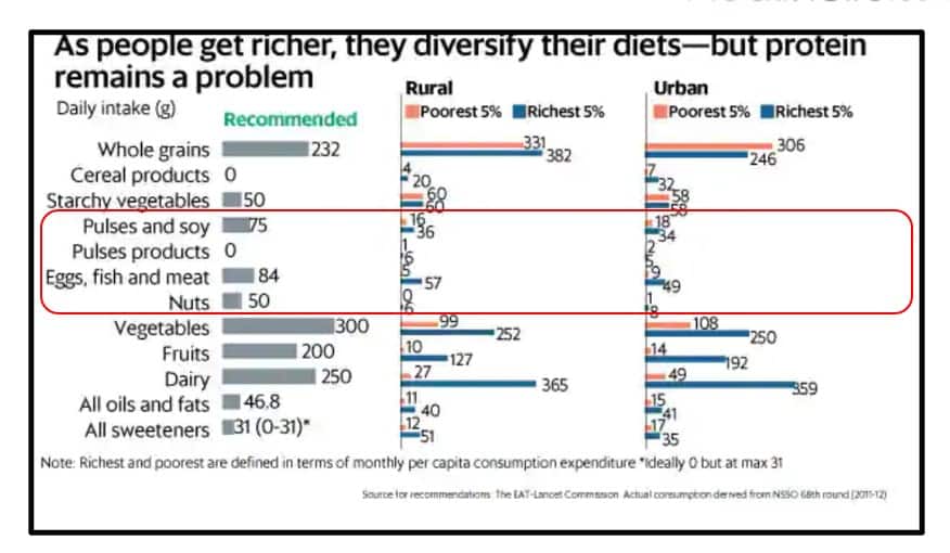 Indian Meals Lack In The Quality Of Protein How To Fill This Protein