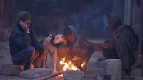 Severe Cold Wave Grips North India: Temperature Dips To 7.6 In Delhi; Orange Alert Issued In Rajasthan