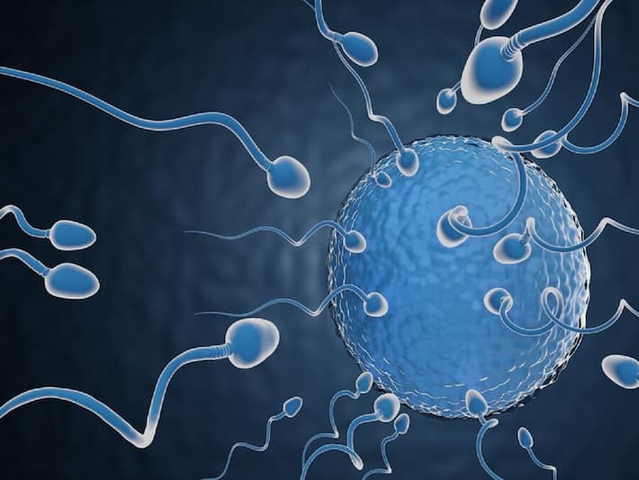 Sperm Are Sensitive To High Temperature: Facts About Sperm You Didn’t ...