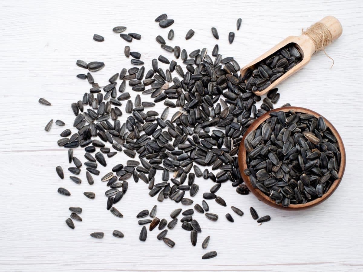 Sunflower Seeds For Heart Patients In Hindi हृदय रोगियों के लिए