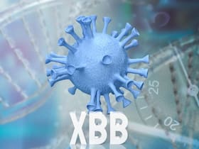 Omicron XBB.1.5 Accounts For 50% Covid-19 Cases In The US, Spreading Quickly In Canada Too