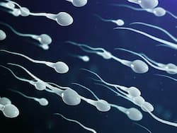 Sperm Are Sensitive To High Temperature: Facts About Sperm You Didn   t Know Before