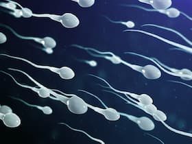 Sperm Are Sensitive To High Temperature: Facts About Sperm You Didn t Know Before Sperm Are Sensitive To High Temperature: Facts About Sperm You Didn t Know Before