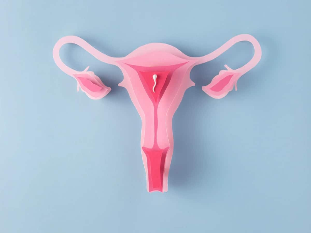 Hostile Uterus Is Widespread Among Infertile Women: All You Need To ...