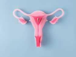 Hostile Uterus And Its Impact On Fertility