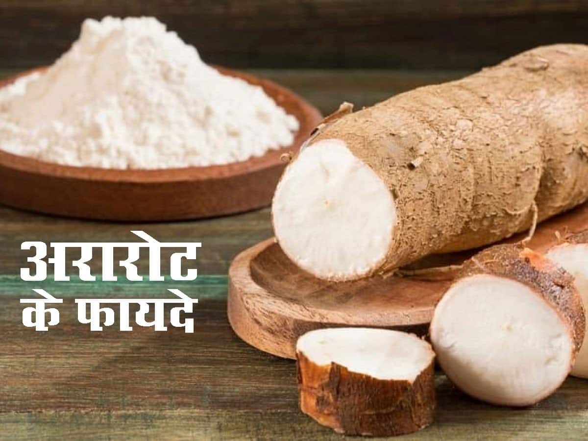 डायबिटीज, मोटापा जैसी इन 6 समस्याओं को दूर कर सकता है अरारोट, जानें