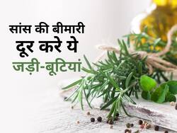 ठंड की वजह से बढ़ सकती है सांस फूलने की समस्या, इन आयुर्वेदिक जड़ी-बूटियों से परेशानी करें कंट्रोल