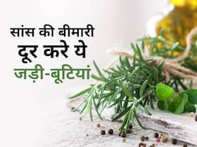 ठंड की वजह से बढ़ सकती है सांस फूलने की समस्या, इन आयुर्वेदिक जड़ी-बूटियों से परेशानी करें कंट्रोल