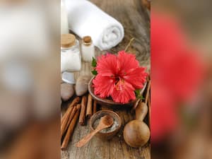 How Do Gram Flour, Hibiscus Powder And Aloe Vera Benefits The Skin?