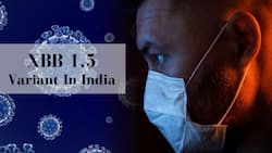 COVID-19 XBB 1.5 Variant Cases Rise To 8 in India: Check Out The Unusual COVID Symptoms of XBB Variant