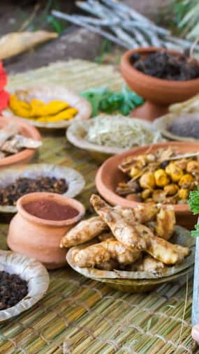 Treating Humans Or Eliminating Disease? Here's What Ayurveda Focuses On