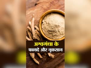 अश्वगंधा के फायदे और नुकसान