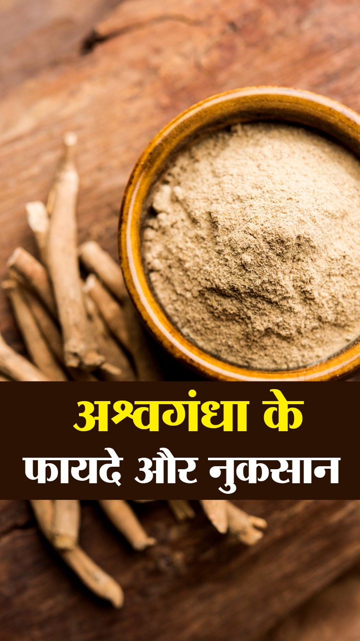 अश्वगंधा के फायदे और नुकसान
