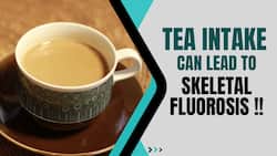 Skeletal Fluorosis: Daily Tea Intake Can Lead To This Dangerous Disease, Watch Video