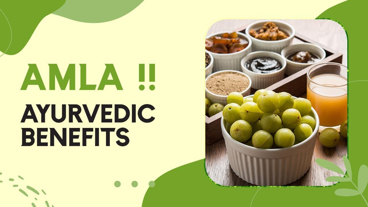 Amla Benefits: Ayurvedic Benefits Of Amla In Winters For Better Immunity, Watch Video. | TheHealthSite.com Amla Benefits: Ayurvedic Benefits Of Amla In Winters For Better Immunity, Watch Video. | TheHealthSite.com