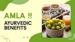 Amla Benefits: Ayurvedic Benefits Of Amla In Winters For Better Immunity, Watch Video.