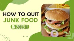 Junk Food Impact On Health: How To Quit Eating Junk & Adapt Healthy Living In 2023 !! Watch Video