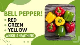 Benefits Of Bell Peppers: Red, Yellow And Green Which Out Of All Three Is Healthier? Watch Video