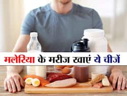 Malaria Fever में बड़ी काम की है ये डाइट, जानें किन फूड्स को खाने से जल्दी होगी रिकवरी