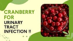 Urinary Tract Infection Remedy: Know How Cranberry Is Effective To Treat UTI, Watch Video