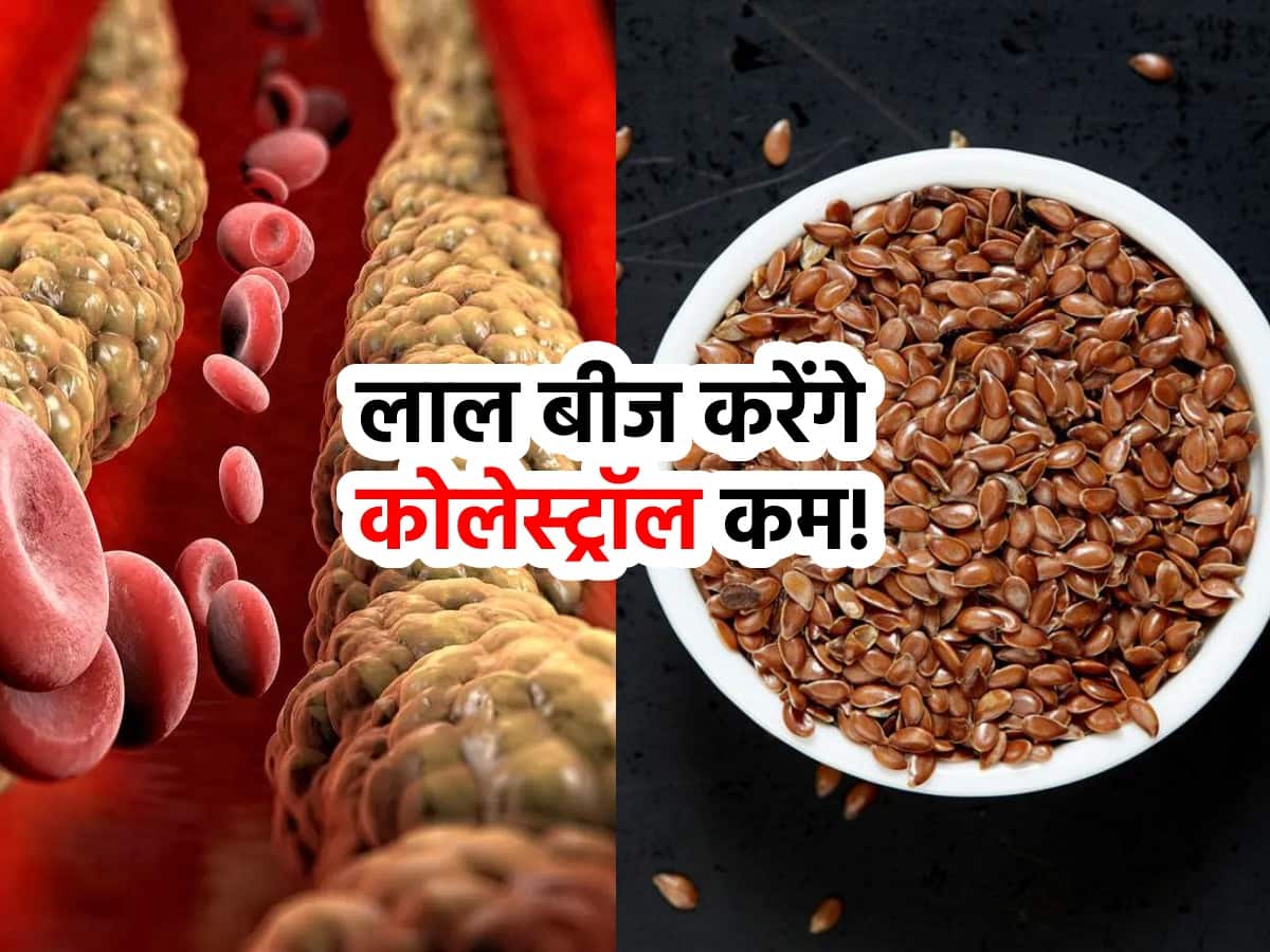 Flax seeds for Cholesterol नसों में कोलेस्ट्रॉल को बिना दवा निकालने