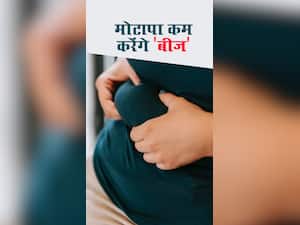 मोटापा और कोलेस्ट्रॉल कम करने वाला 'बीज'